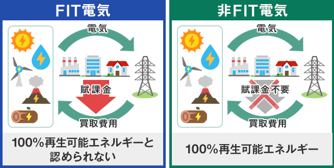 FIT電気との違い